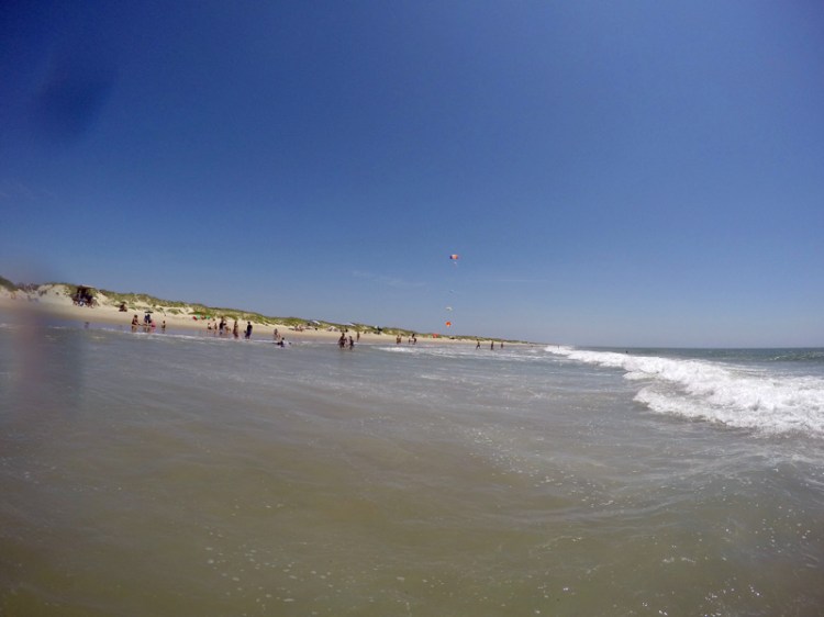 DCIM100GOPROGOPR0099.