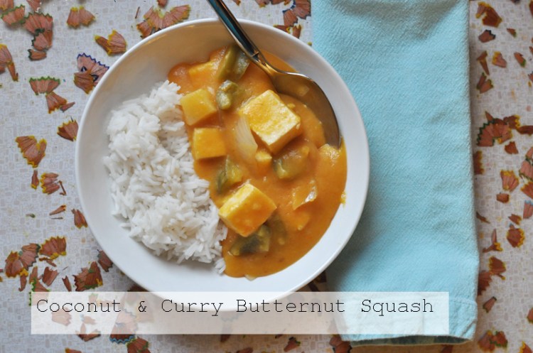 curry.dish