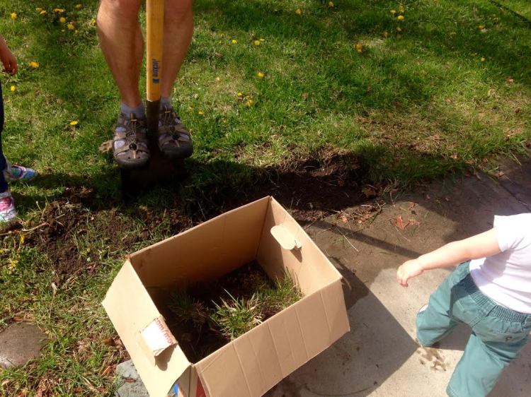 ce5d250a-2f75-4c23-8bb3-ffb79947b19b